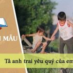 Tả anh trai yêu quý của em