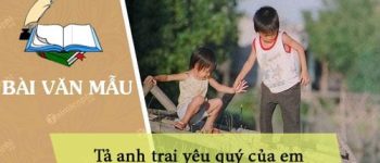 Tả anh trai yêu quý của em