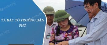 Tả bác tổ trưởng dân phố