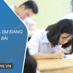 Tả bạn của em đang học bài