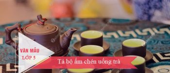 Tả bộ ấm chén uống trà