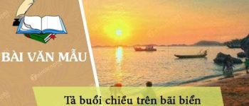 Tả buổi chiều trên bãi biển