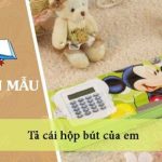 Tả cái hộp bút của em