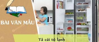 Tả cái tủ lạnh