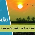 Tả cảnh buổi chiều trên cánh đồng