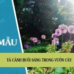 Tả cảnh buổi sáng trong vườn cây