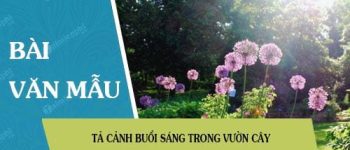 Tả cảnh buổi sáng trong vườn cây