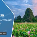 Tả cảnh đầm sen quê em