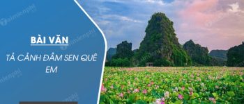 Tả cảnh đầm sen quê em