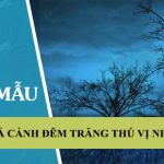 Tả cảnh đêm trăng mà em cho là thú vị nhất