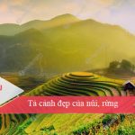 Tả cảnh đẹp của núi, rừng