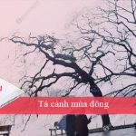 Tả cảnh mùa đông