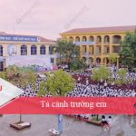 Tả cảnh trường em