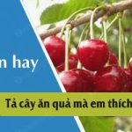 Tả cây ăn quả mà em thích