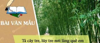 Tả cây tre, lũy tre nơi làng quê em