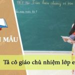 Tả cô giáo chủ nhiệm lớp em