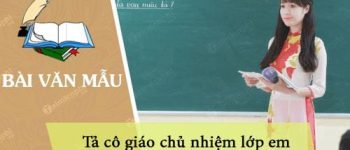 Tả cô giáo chủ nhiệm lớp em