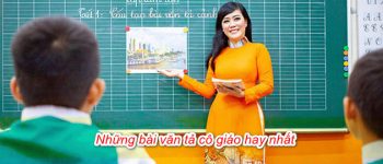 Tả cô giáo của em lớp 5 hay nhất (50 Mẫu chọn lọc)