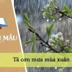 Tả cơn mưa mùa xuân