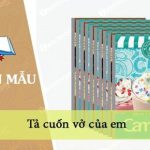 Tả cuốn vở của em