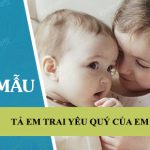 Tả em trai yêu quý của em