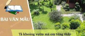 Tả khoảng vườn mà em từng thấy