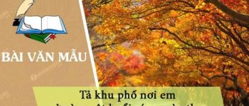 Tả khu phố nơi em ở vào một buổi sáng mùa thu