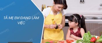 Tả mẹ em đang làm việc