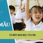 Tả một bạn học của em