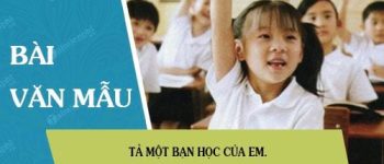 Tả một bạn học của em