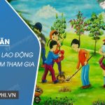 Tả một buổi lao động tập thể mà em tham gia