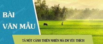 Tả một cảnh thiên nhiên mà em yêu thích