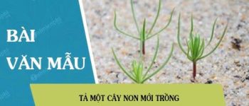 Tả một cây non mới trồng đạt điểm cao