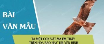 Tả một con vật mà em thấy trên họa báo hay truyền hình