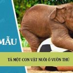 Tả một con vật nuôi ở vườn thú