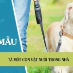 Tả một con vật nuôi trong nhà