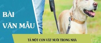 Tả một con vật nuôi trong nhà