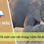 Tả một con vật trong vườn bách thú