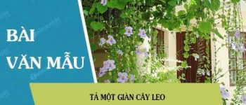 Tả một giàn cây leo