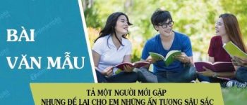 Tả một người mới gặp nhưng để lại cho em những ấn tượng sâu sắc