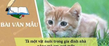 Tả một vật nuôi trong gia đình nhà nông mà em quý mến