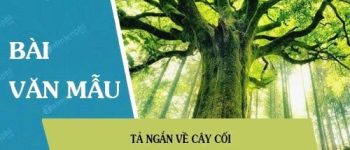 Tả ngắn về cây cối