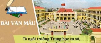 Tả ngôi trường Trung học cơ sở nơi em đang theo học