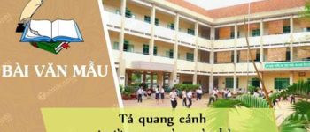 Tả quang cảnh trường em vào mùa hè