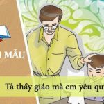 Tả thầy giáo mà em yêu quý