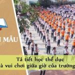 Tả tiết học thể dục và vui chơi giữa giờ của trường em