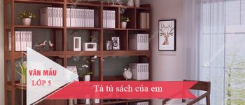 Tả tủ sách của em