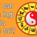 Tam hợp hóa tam tai là gì?