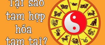 Tam hợp hóa tam tai là gì?