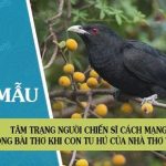 Tâm trạng người chiến sĩ cách mạng trong bài thơ Khi con tu hú của nhà thơ Tố Hữu